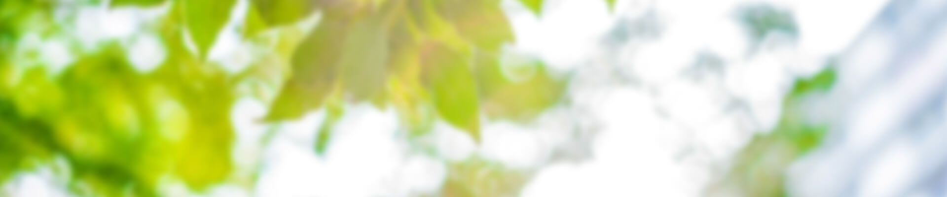 外観のイメージ